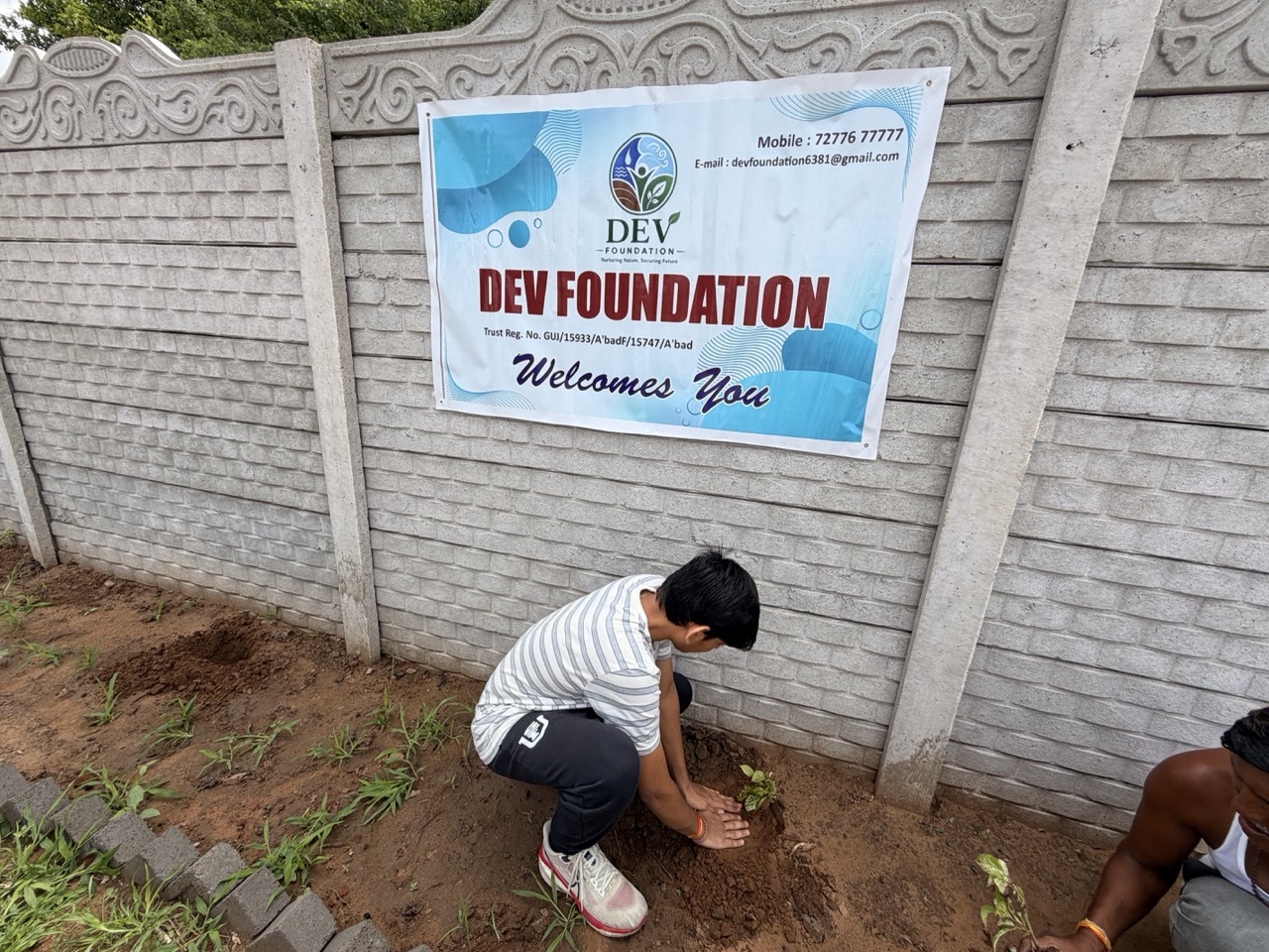 Plantation drive