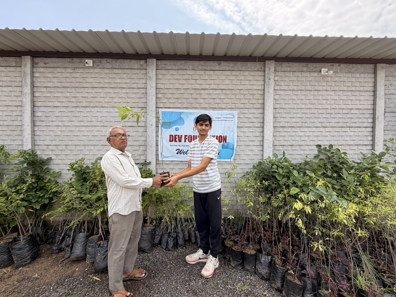 Plantation drive
