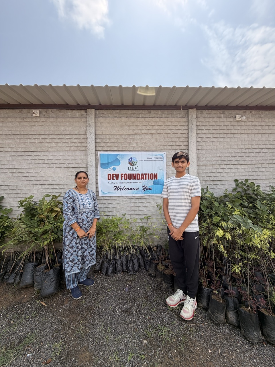 Plantation drive