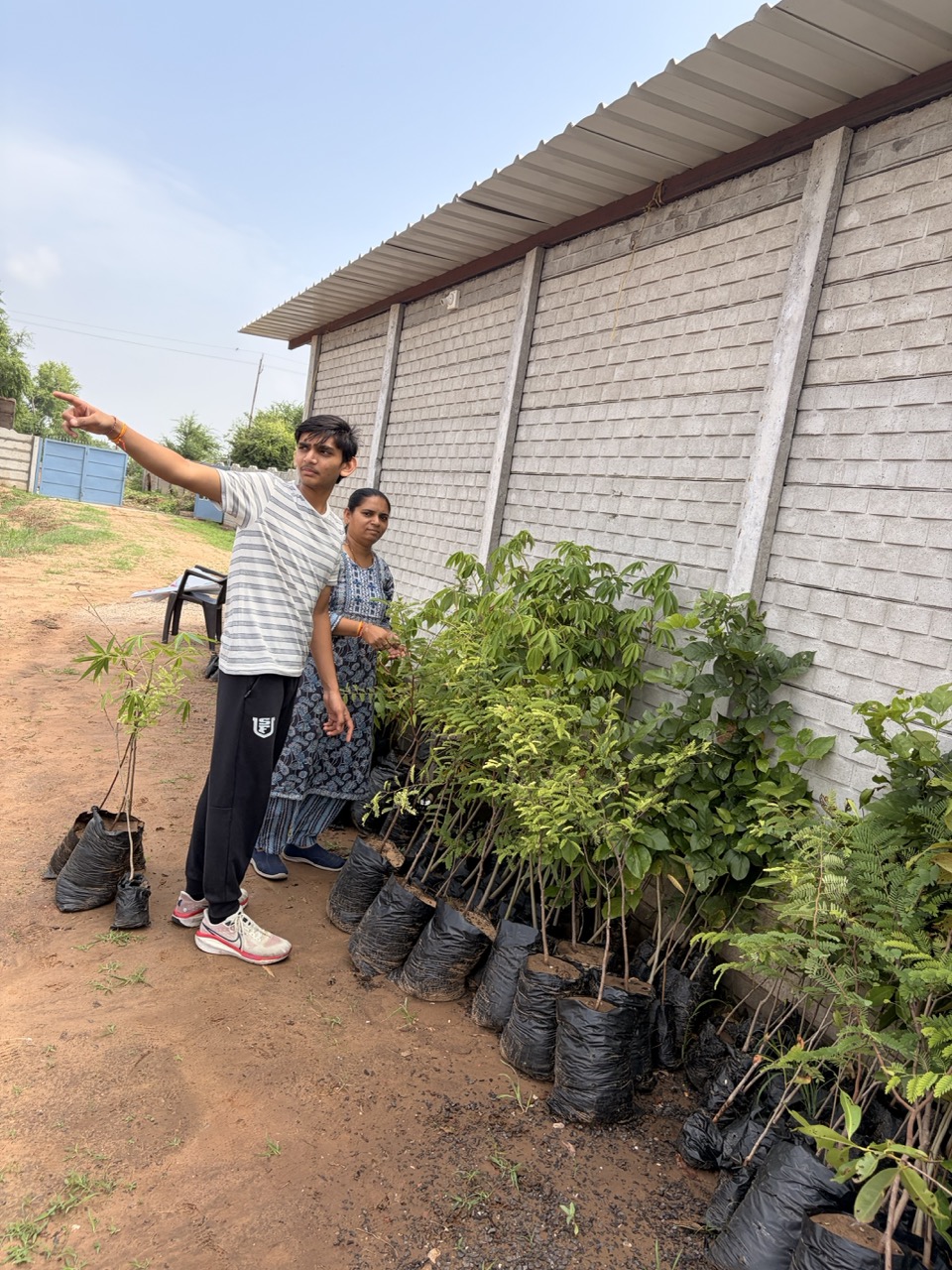 Plantation drive