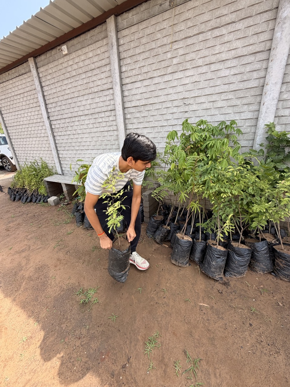 Plantation drive